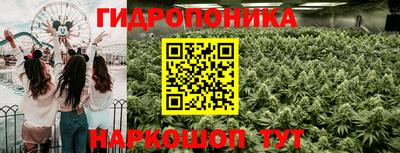 соль ск Новодвинск