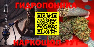 соль ск Новодвинск