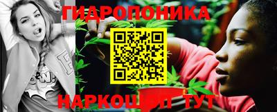 соль ск Новодвинск