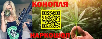 соль ск Новодвинск
