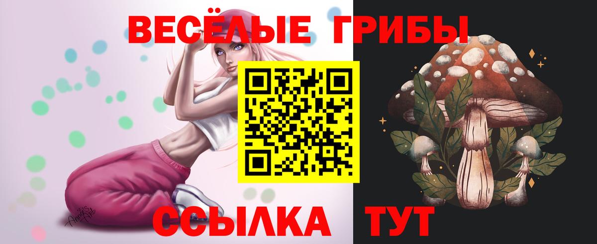 Галлюциногенные грибы Psilocybe  Вход с VPN  Славянск-на-Кубани 
